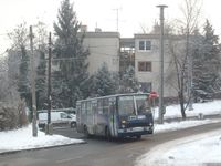 Golaz: SANY8699bpo-340