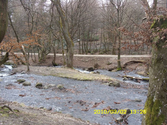 7065117_c6ddeeec6f506d69720e5b9abc5ad035_m.jpg