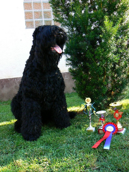 8271643_29797eaa48763de082e2e43bd52d841f_m.jpg