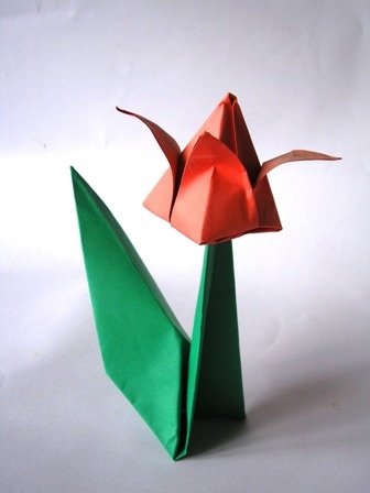 Origami tulipán