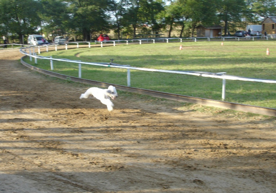 9617263_26121c03a35ed1f12b87405926f6d327_m.jpg