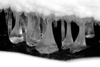 ice teeth