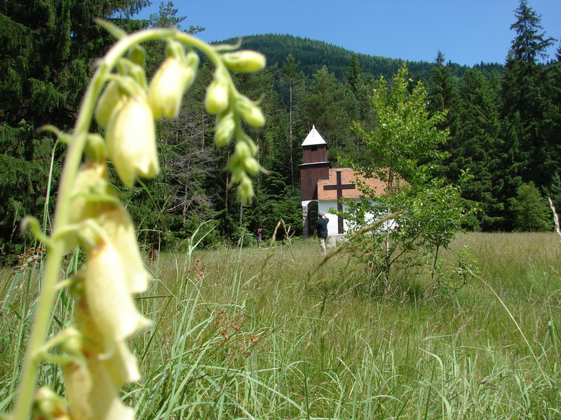 Gyűszűvirág, kápolnával