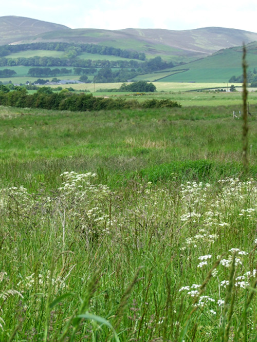 Pentland Hills