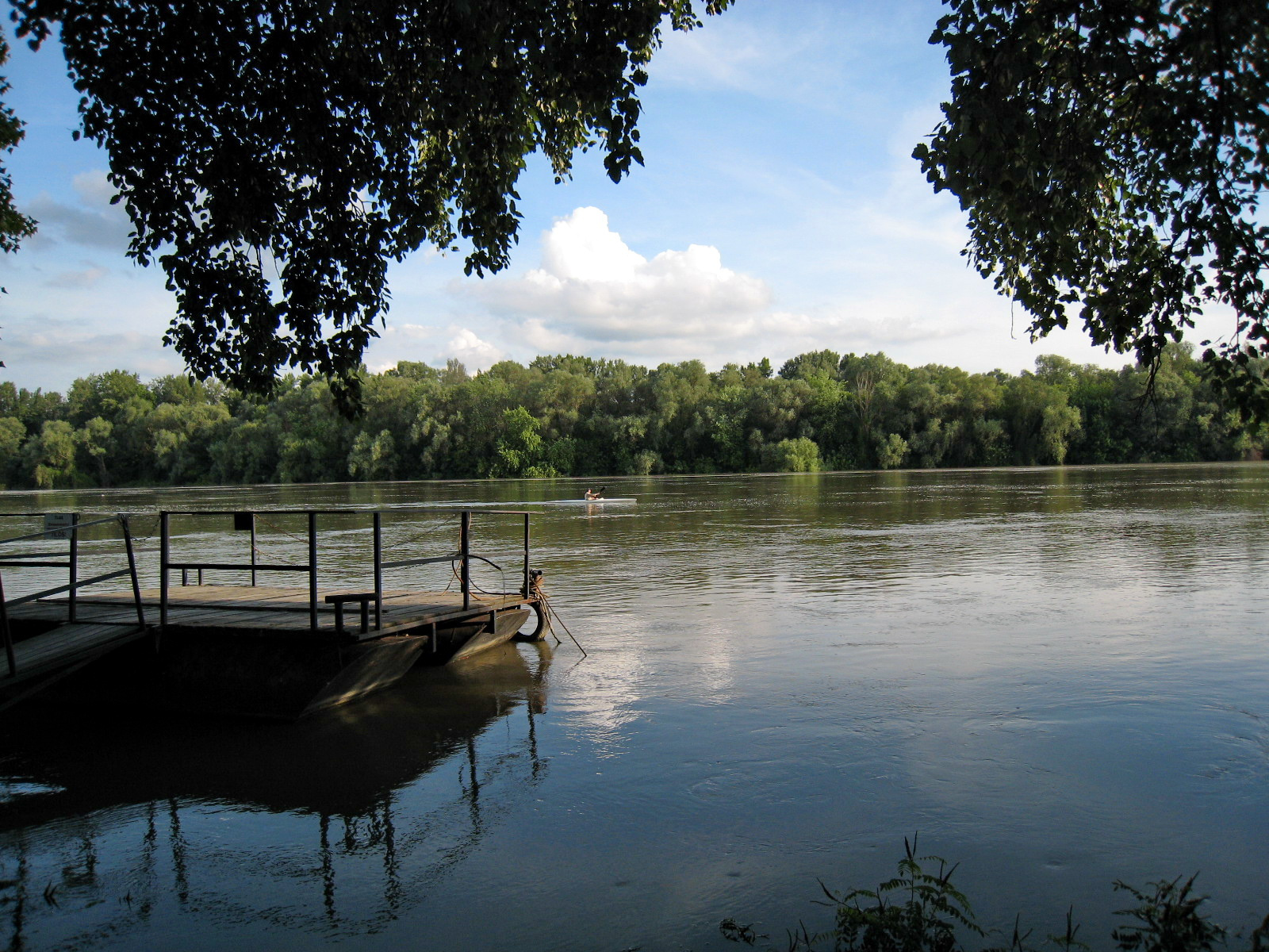 A Tisza sodrásában