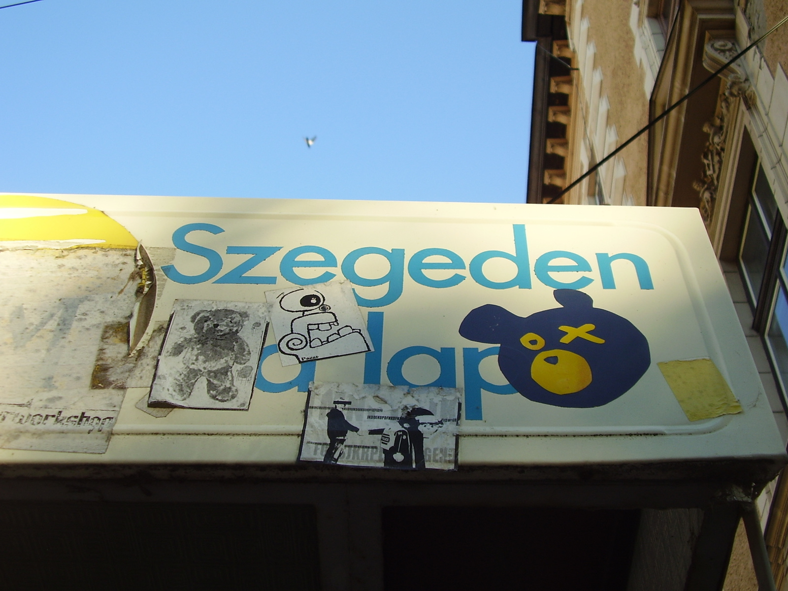 2008 szeged