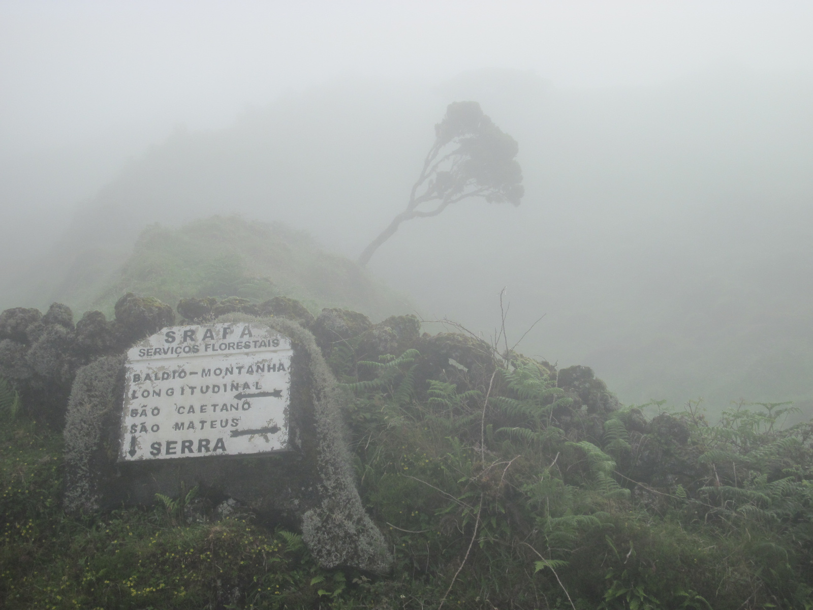 23. Pico-n tábla