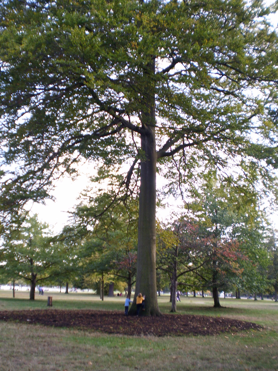 London 20091010 és Kensington Park 066