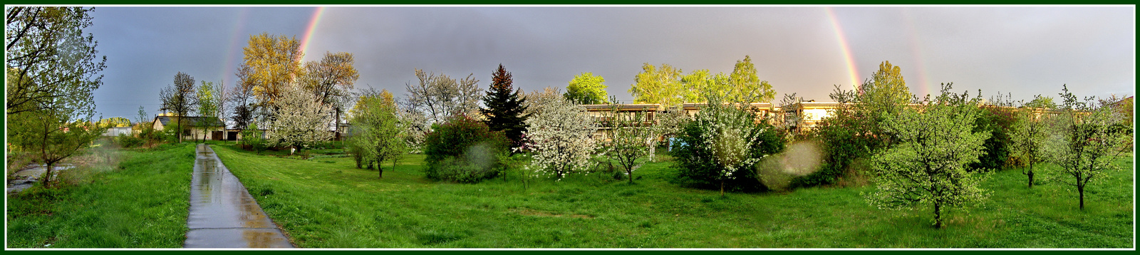 Rainy afternoon