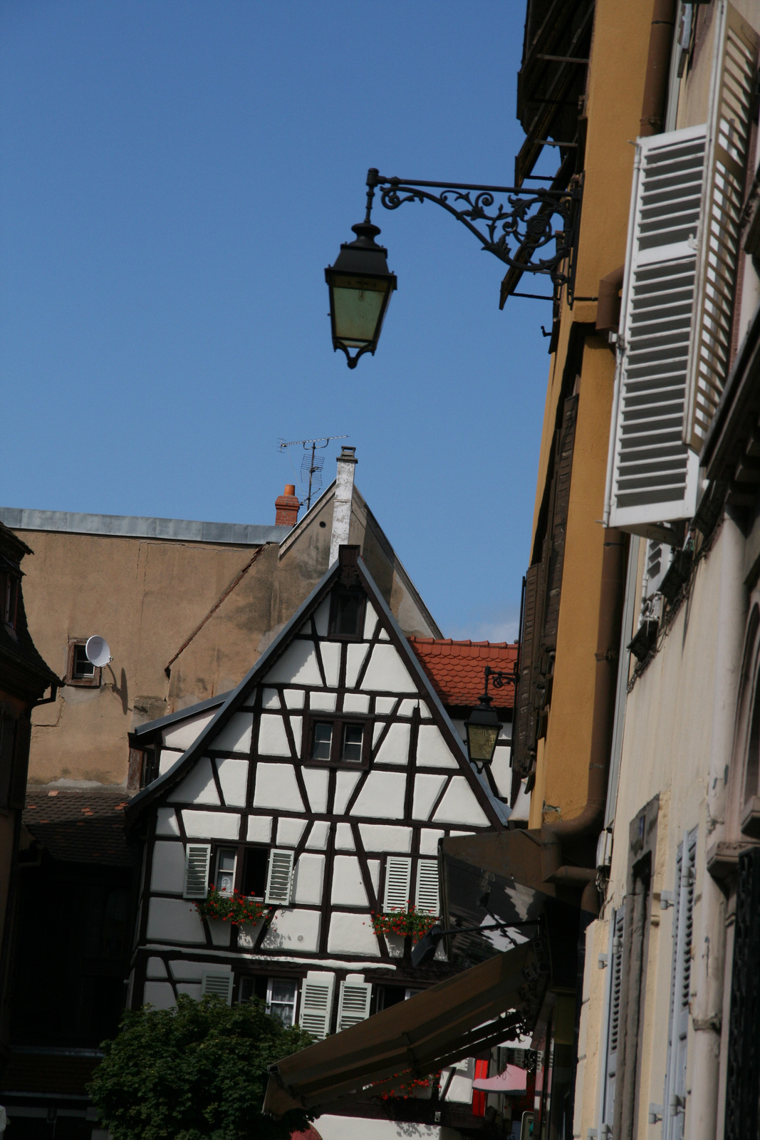 Colmar