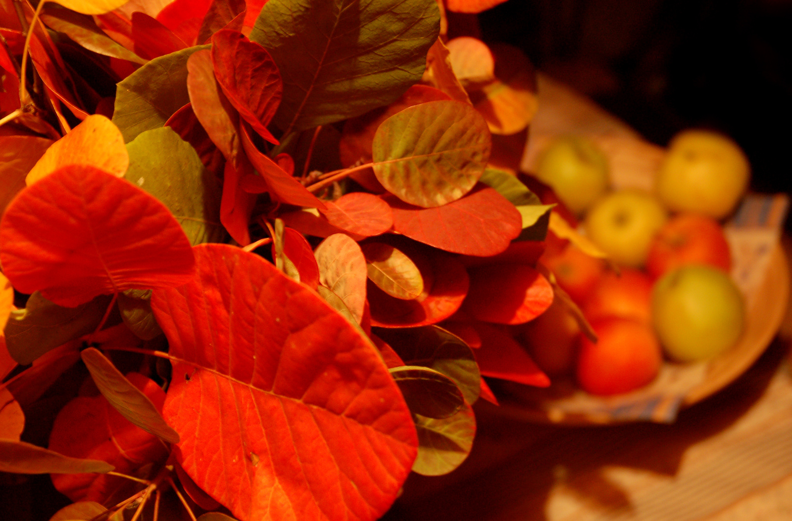 colourful apples