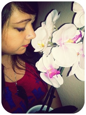 orchidea