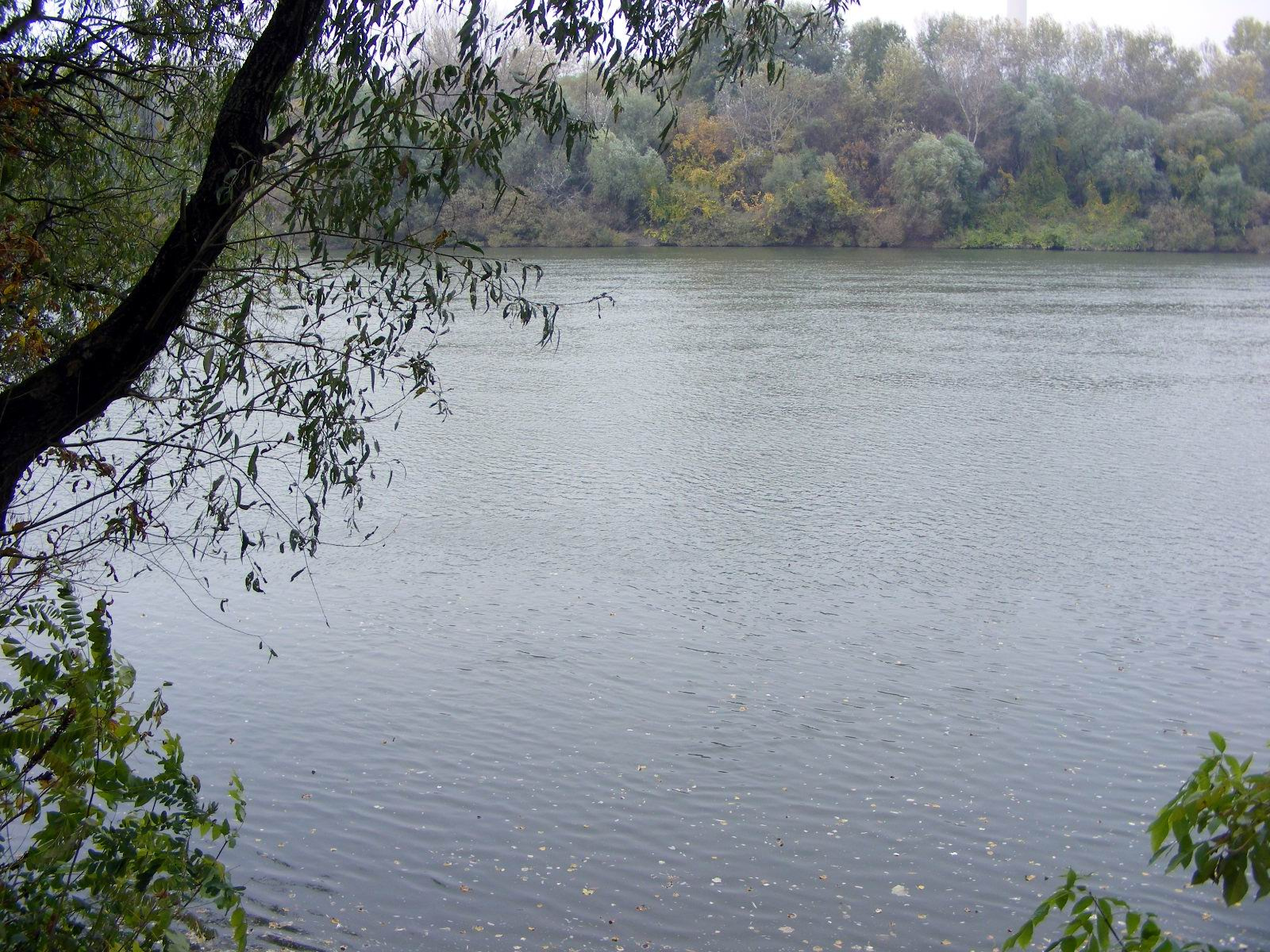 2008 1023 a Tisza