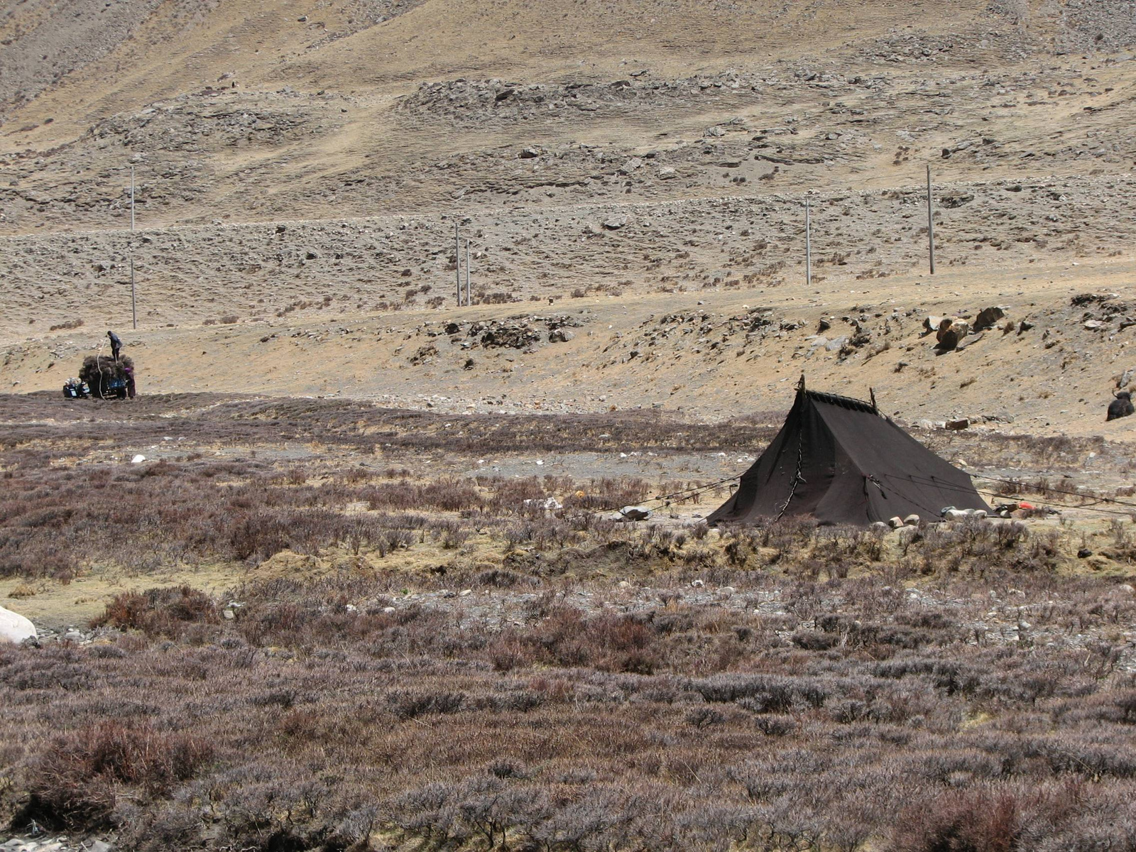 2010szecsuán-tibet 672