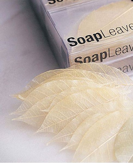 soap leaves