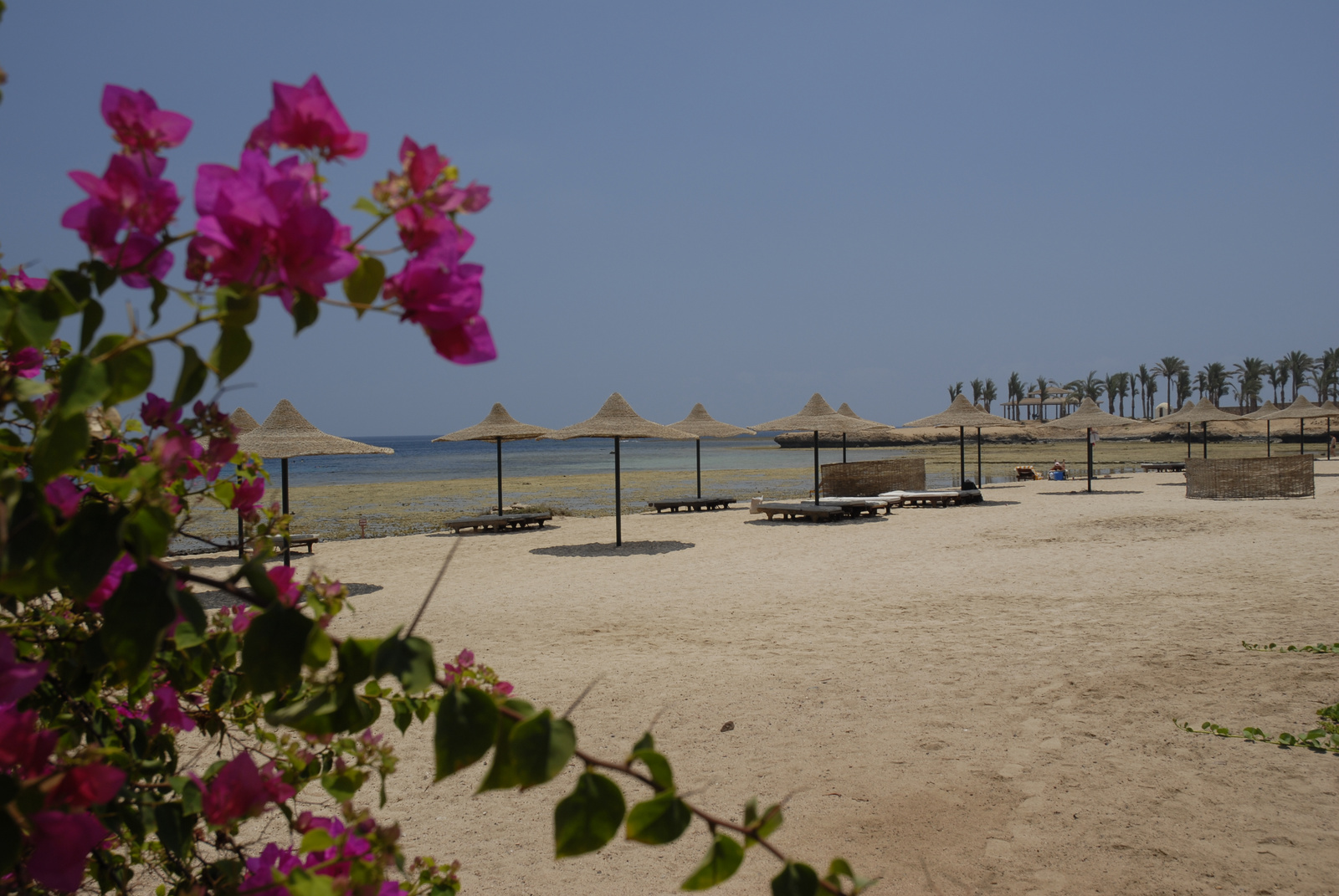 Brayka Bay Hotel,Marsa Alam