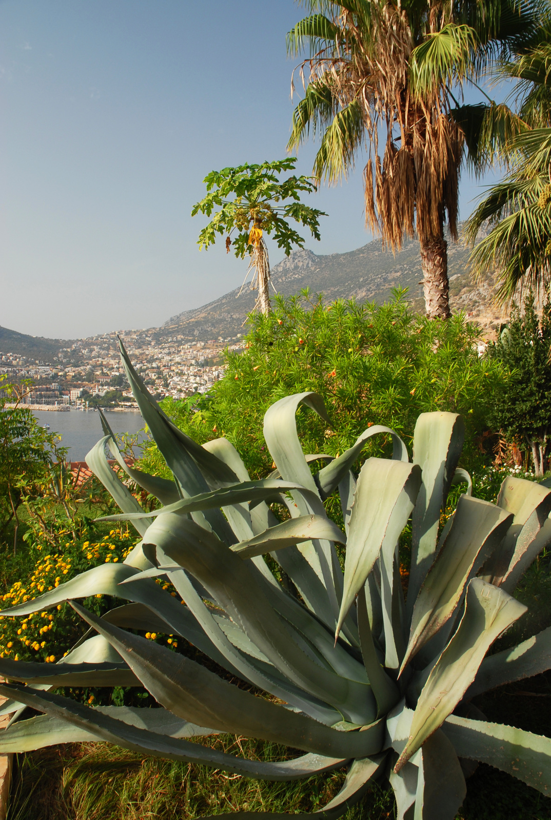 Kalkan