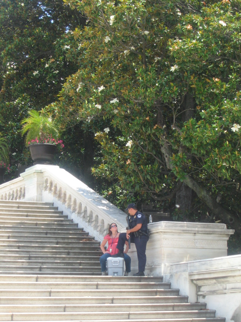 Capitolium őre