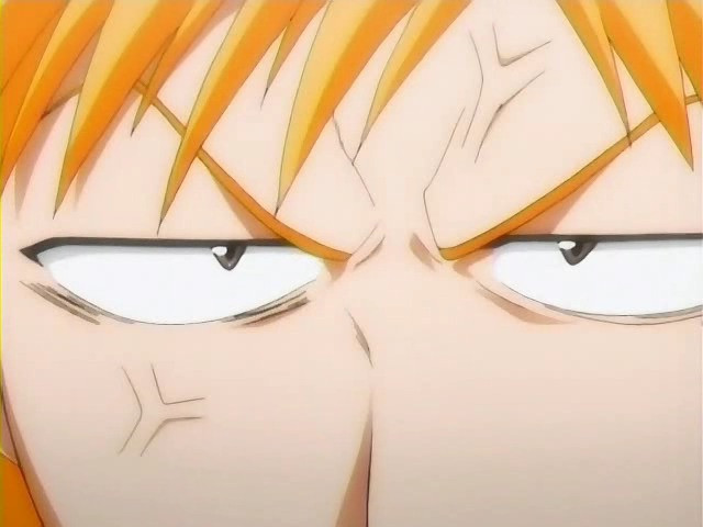 bleach ichigo0466