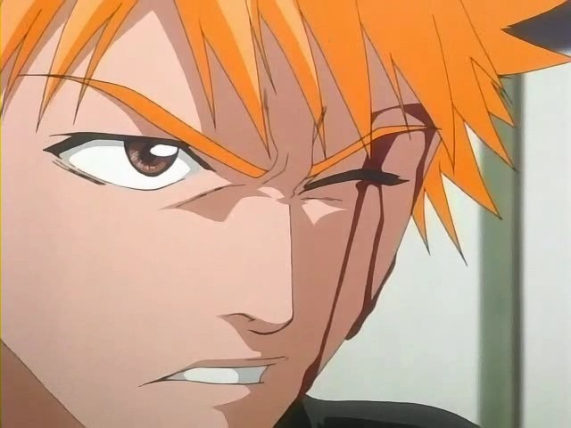 bleach ichigo0668