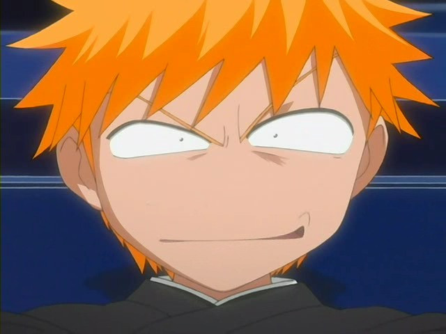 bleach ichigo1018