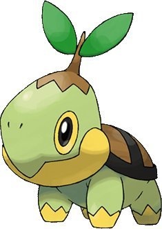 Turtwig