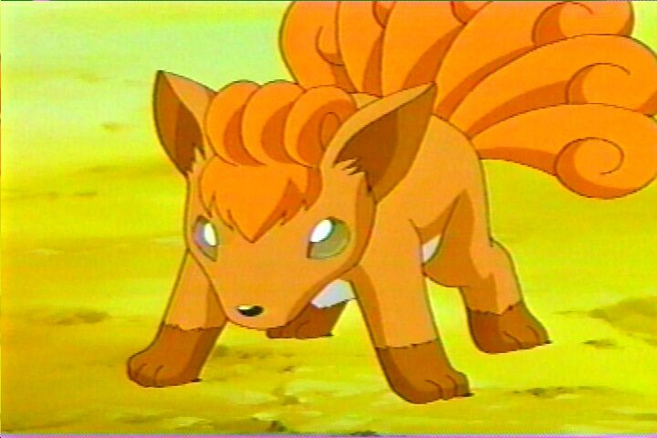 vulpix03