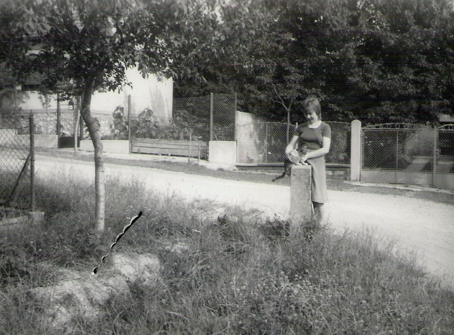 9.4. A cicával a kertünk előtt