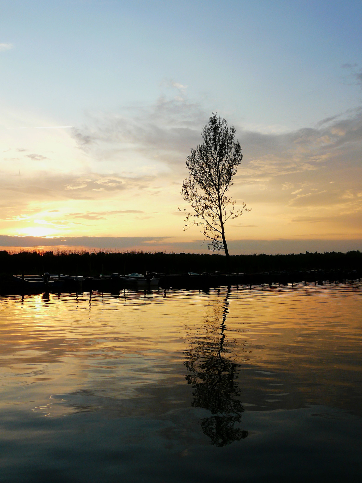 Tisza-tó