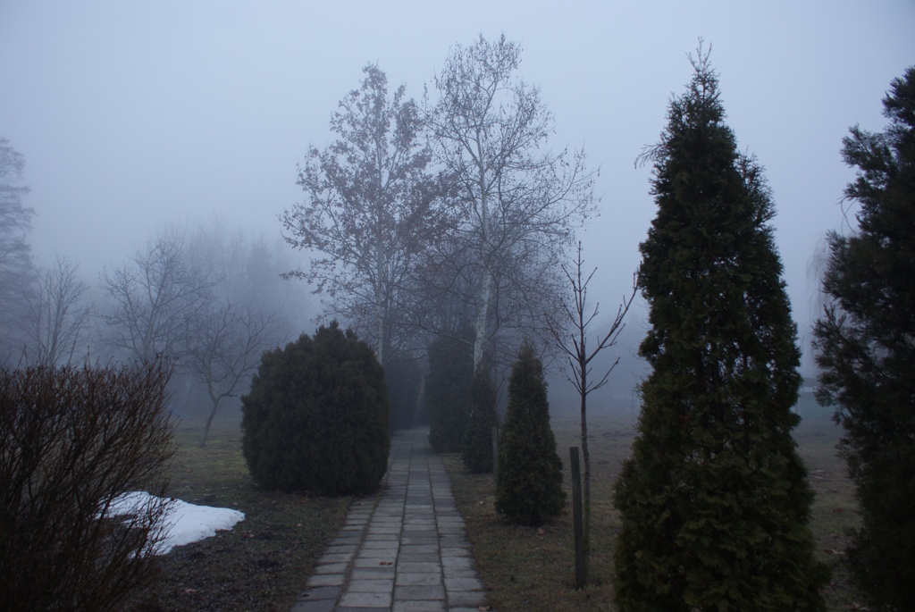 Télvégi köd, út a Balatonpartra