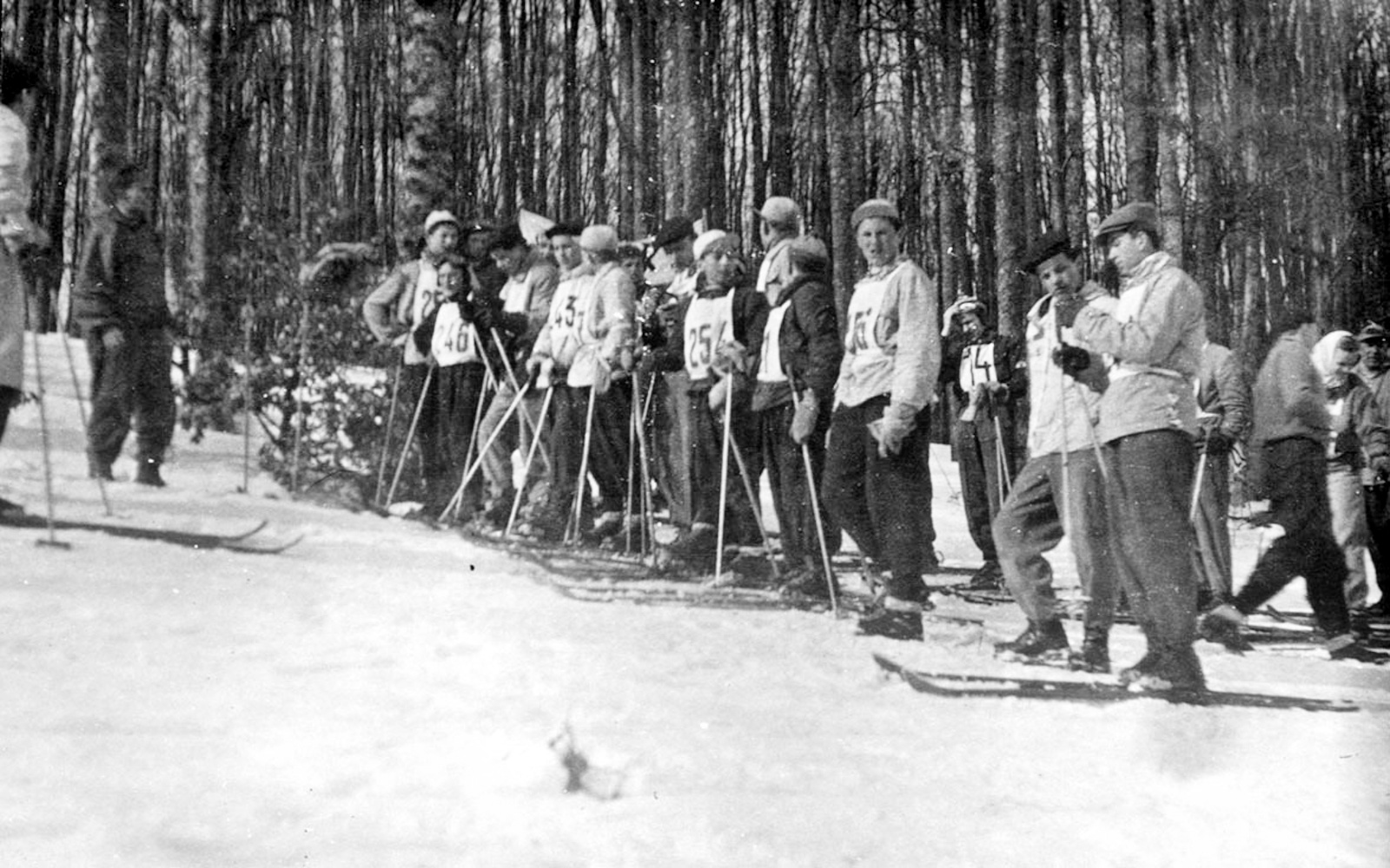 Pohár mieru na Javore - obrovský slalom 1952