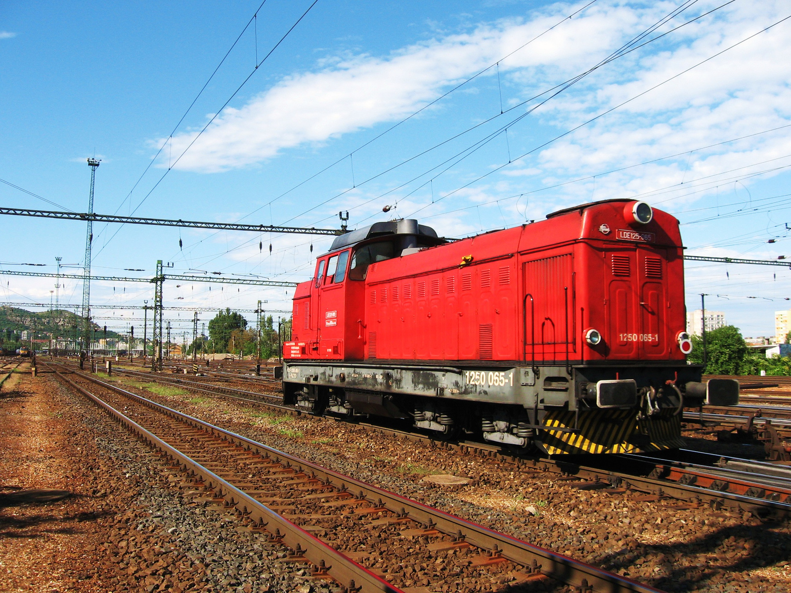 LDE 125-065 (1250-065-1)