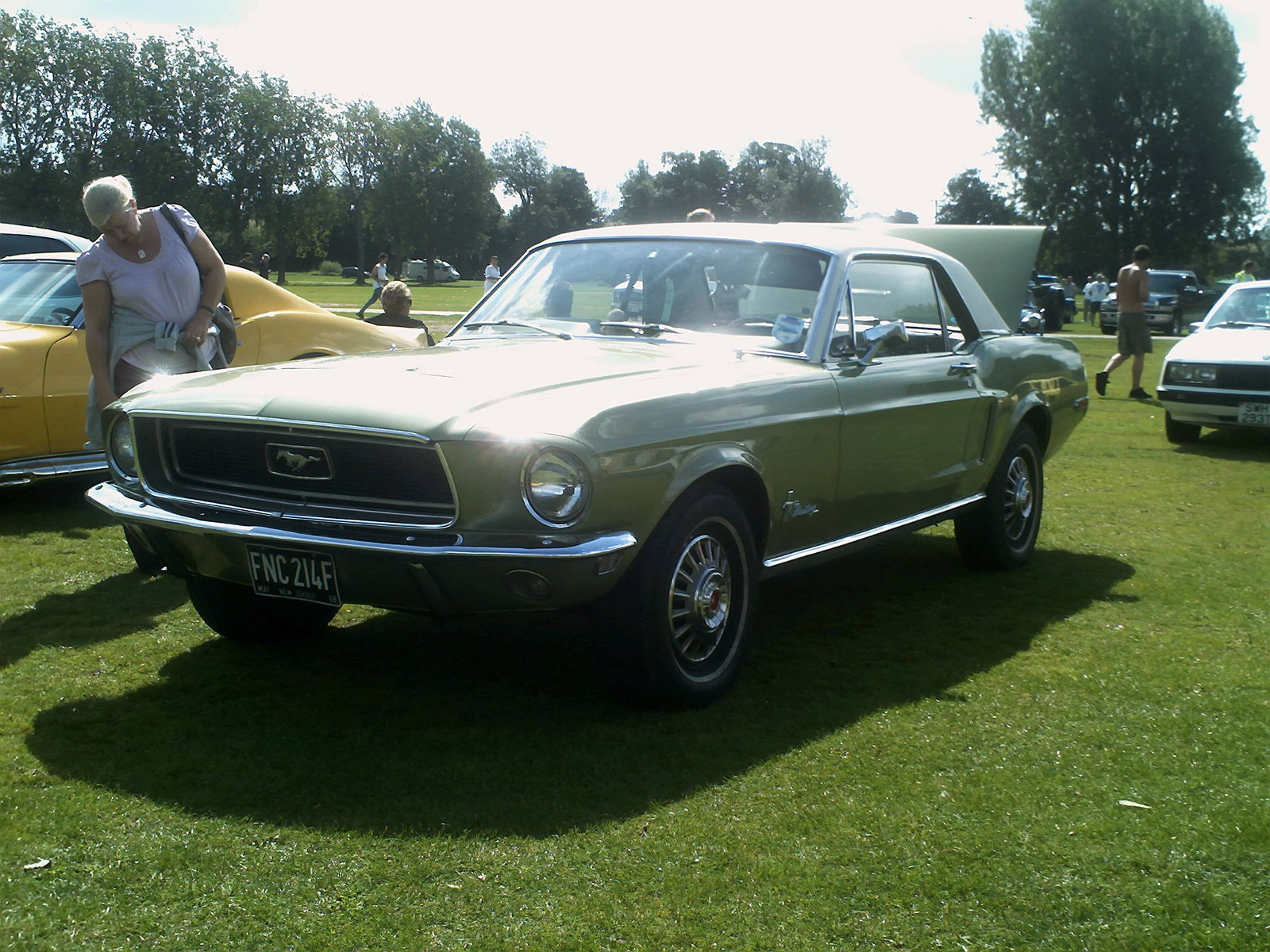 Mustang