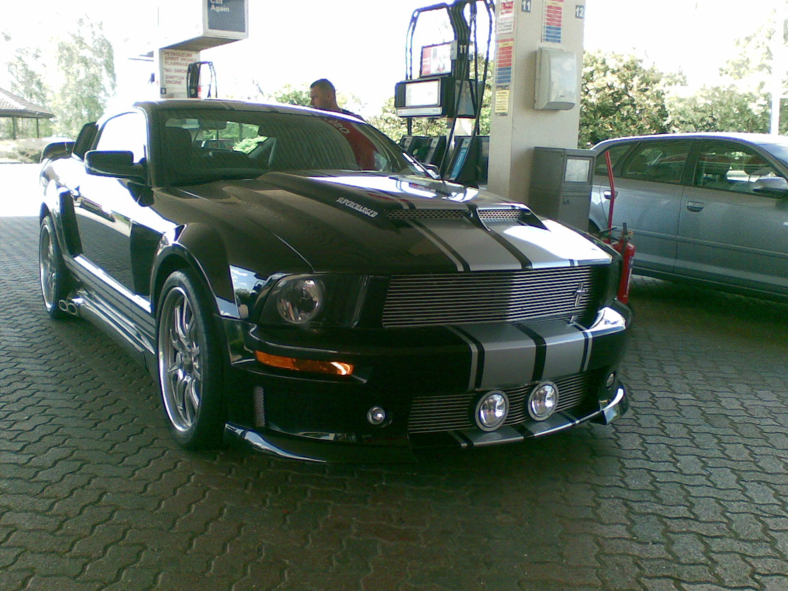 Ford Mustang Shelby-2