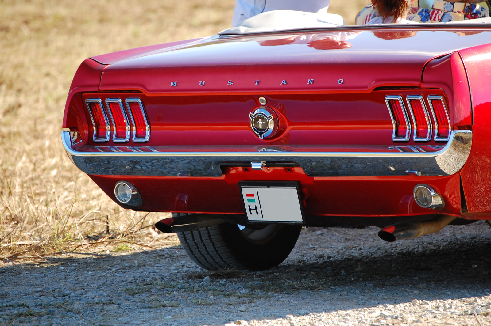 Mustang hátulról