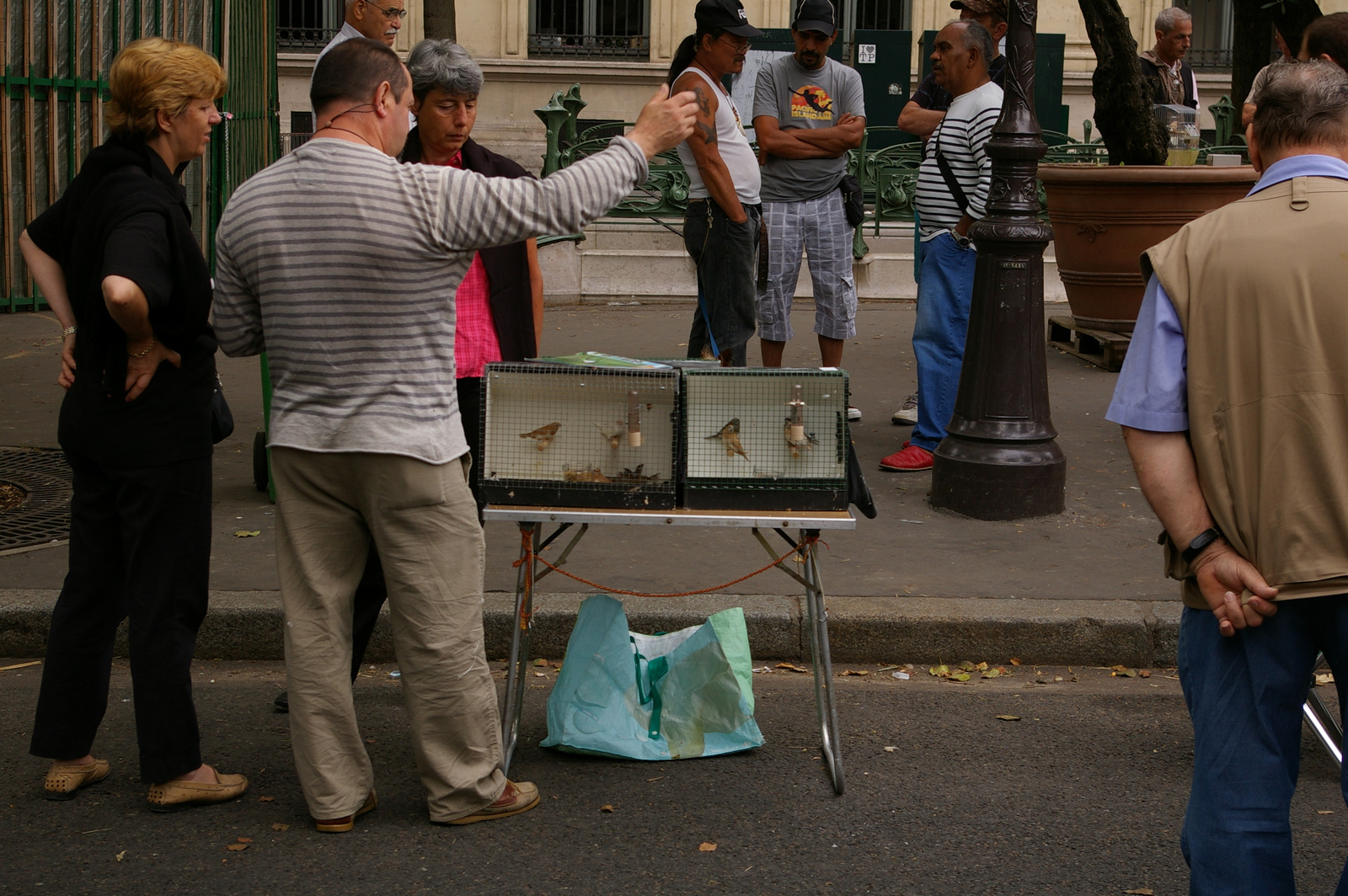 Paris-Bird Market