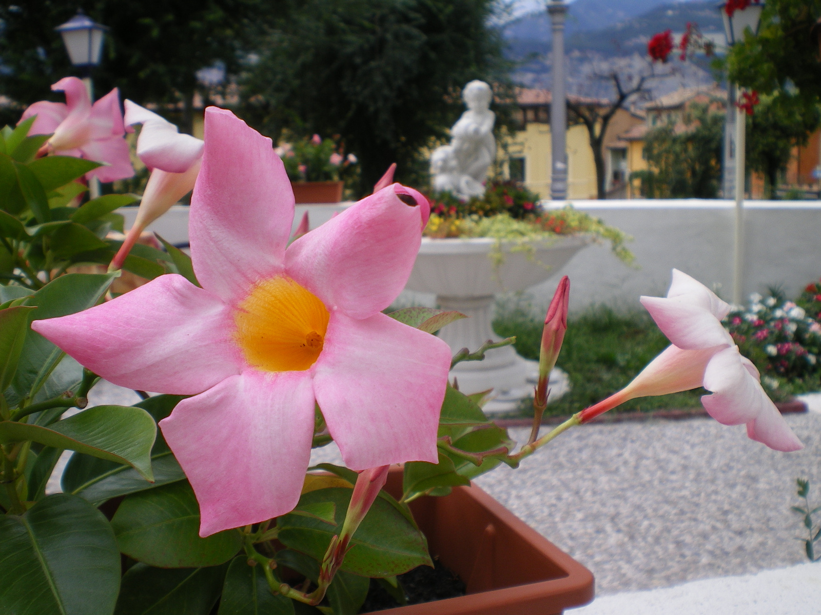 Malcesine