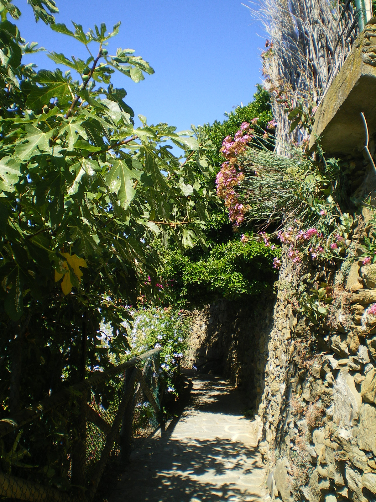 Riomaggiore