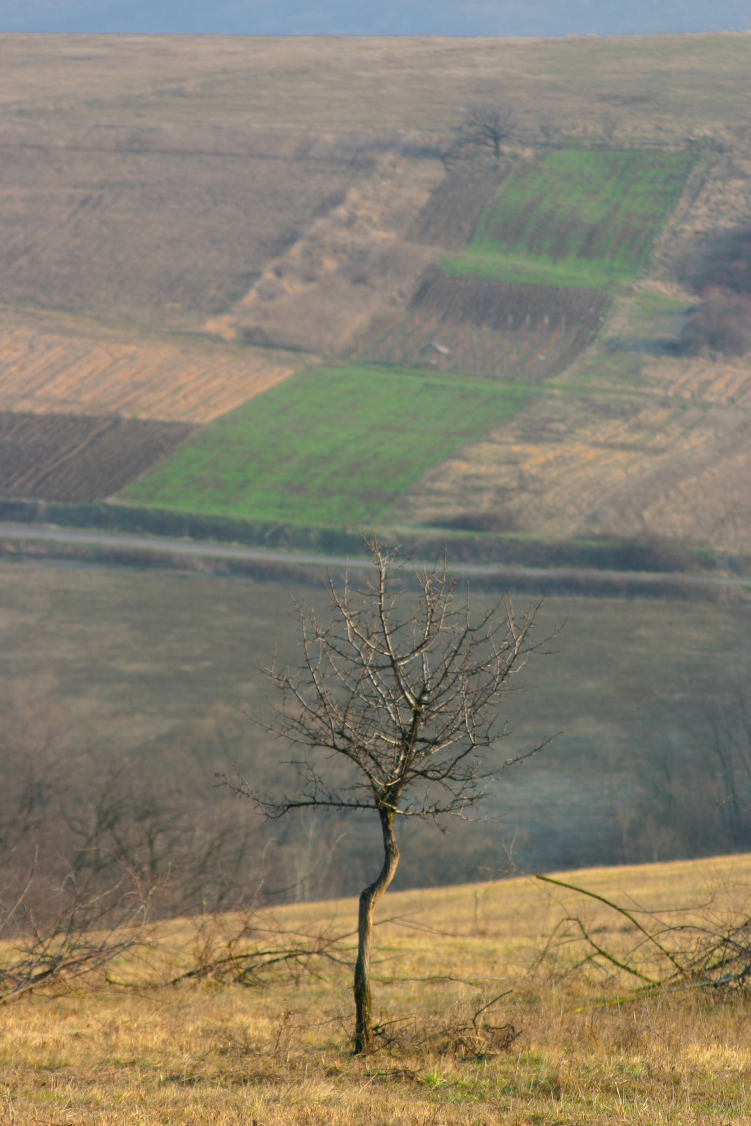 Hollókő