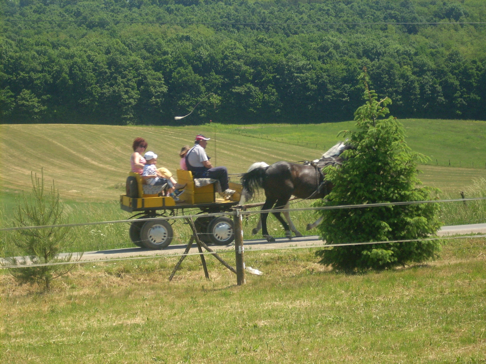 Kelecsény 120