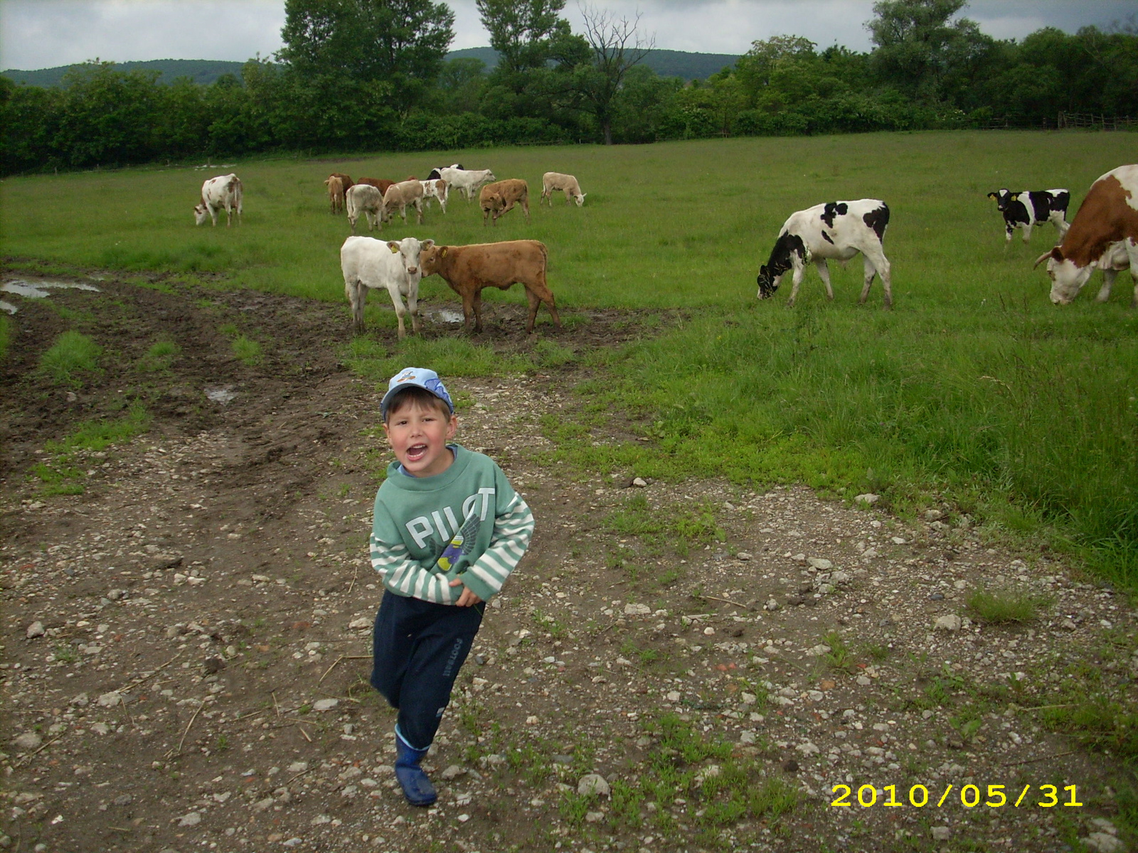 2010 Kelecsény 065