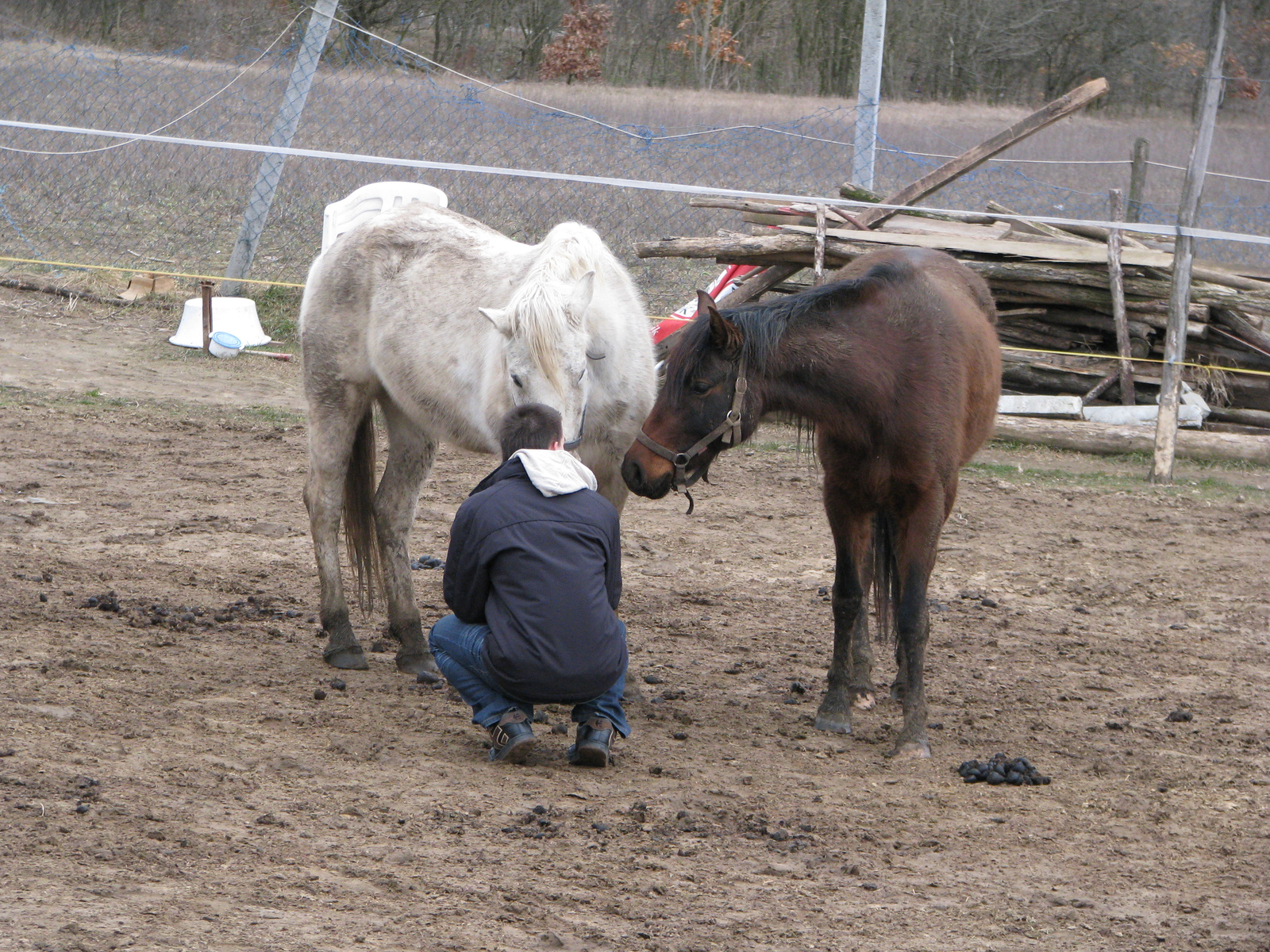 Kíváncsiság