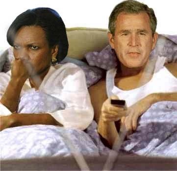 condi bush bed