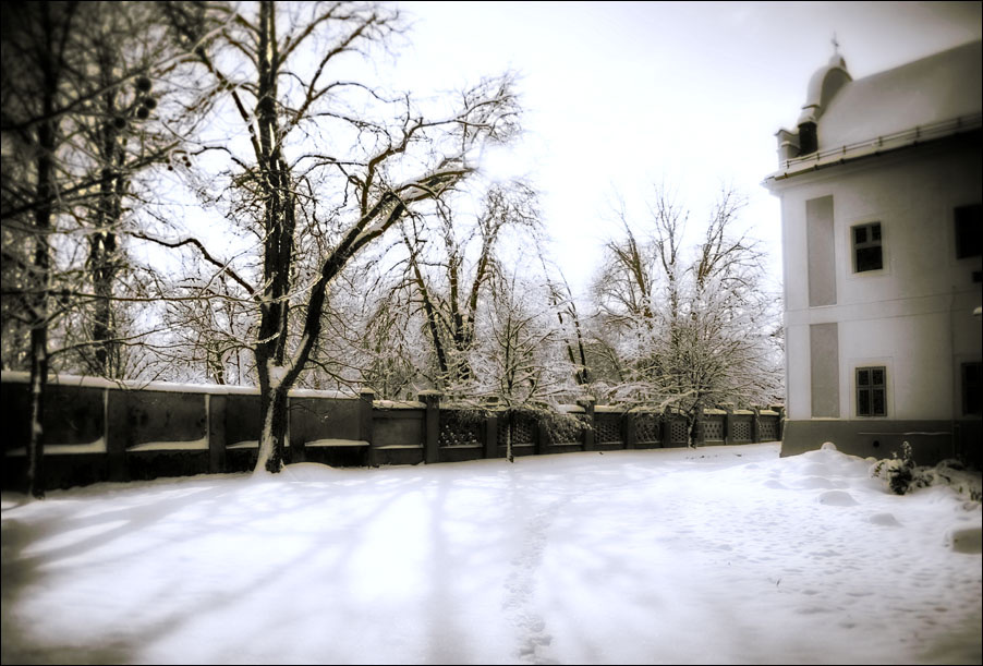 Churchyard In Snow