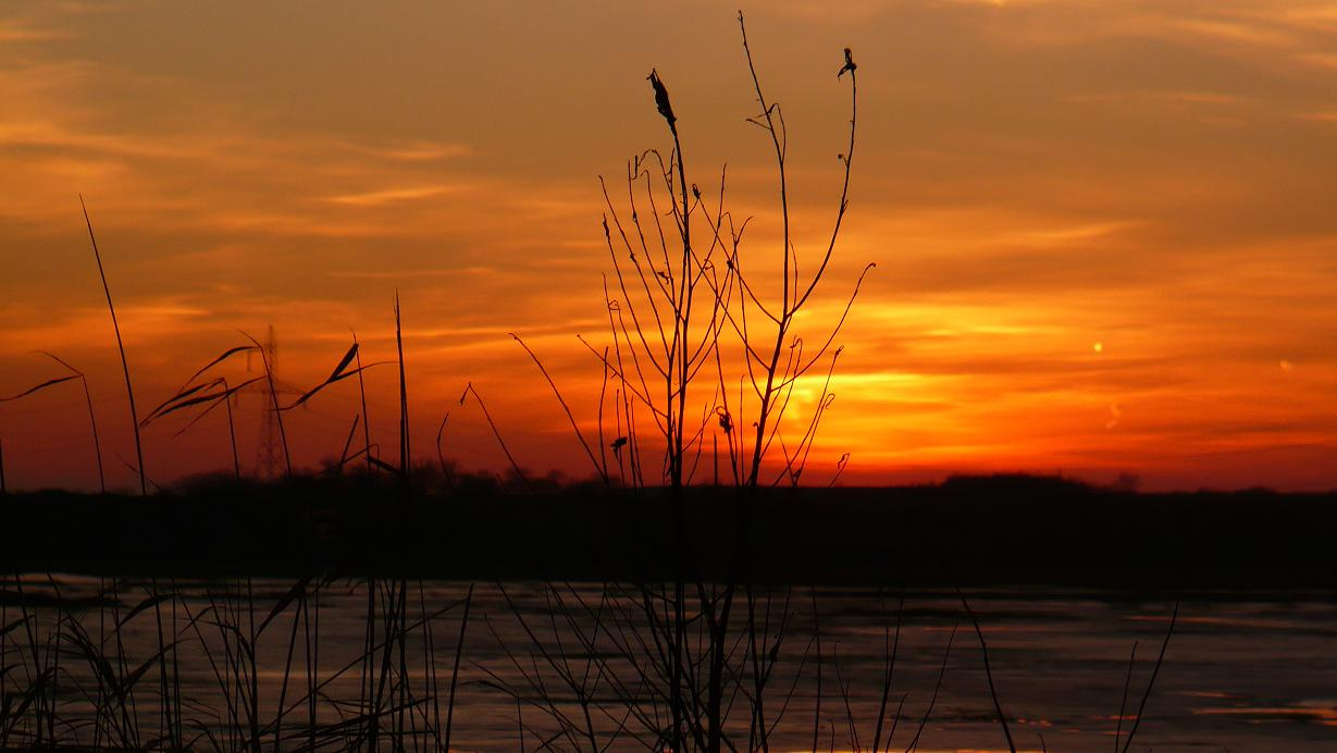 Naplemente, Csór, 2011.02.05. 058