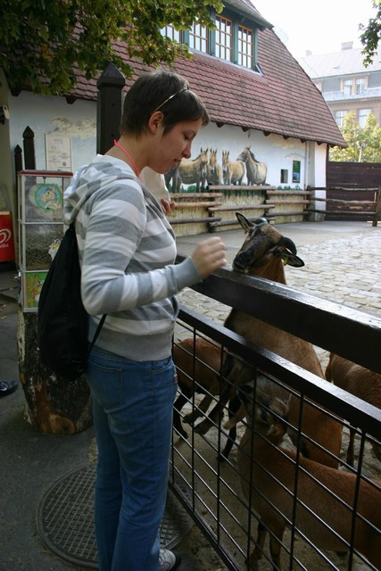 csak a csemegét edd!!