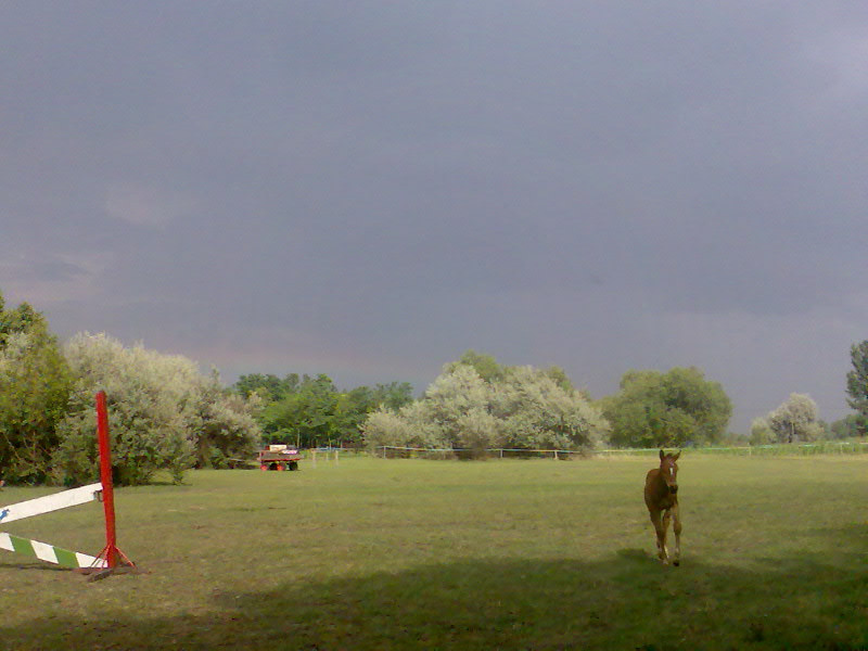 200906Tábor027