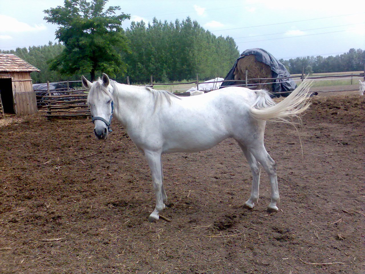 200906Tábor056