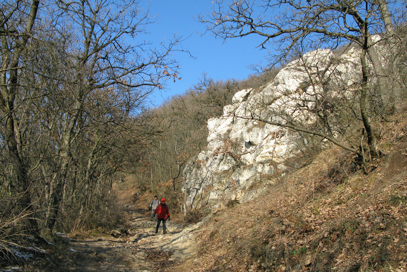 081229 G9 OKT Psztkereszt Rozália téglagyár 6610