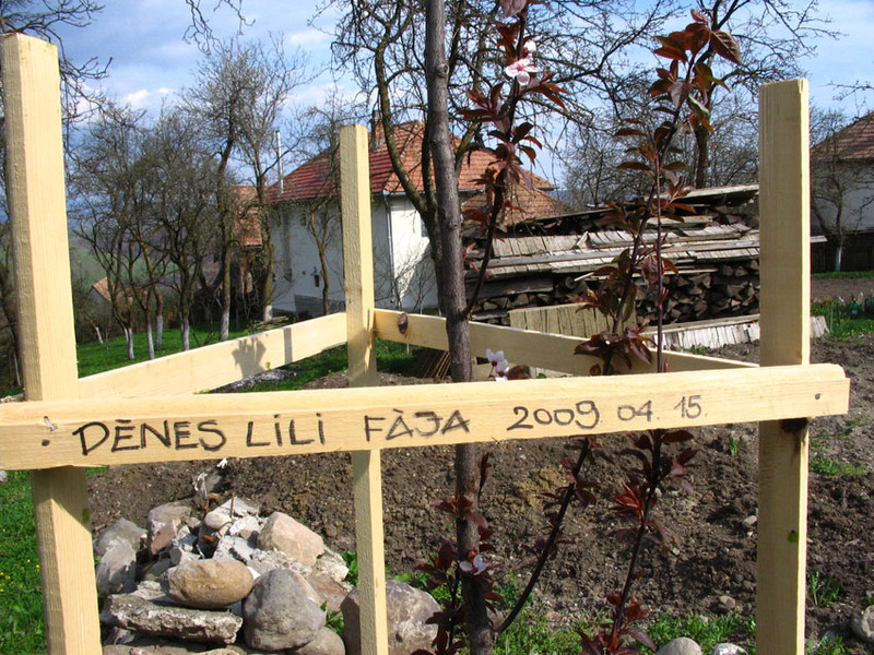 Dénes Lili fája